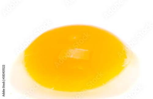 raw egg isolated