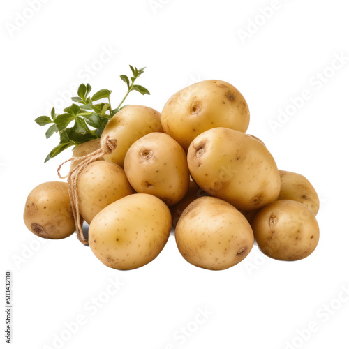 Potatoes with leaves isolated