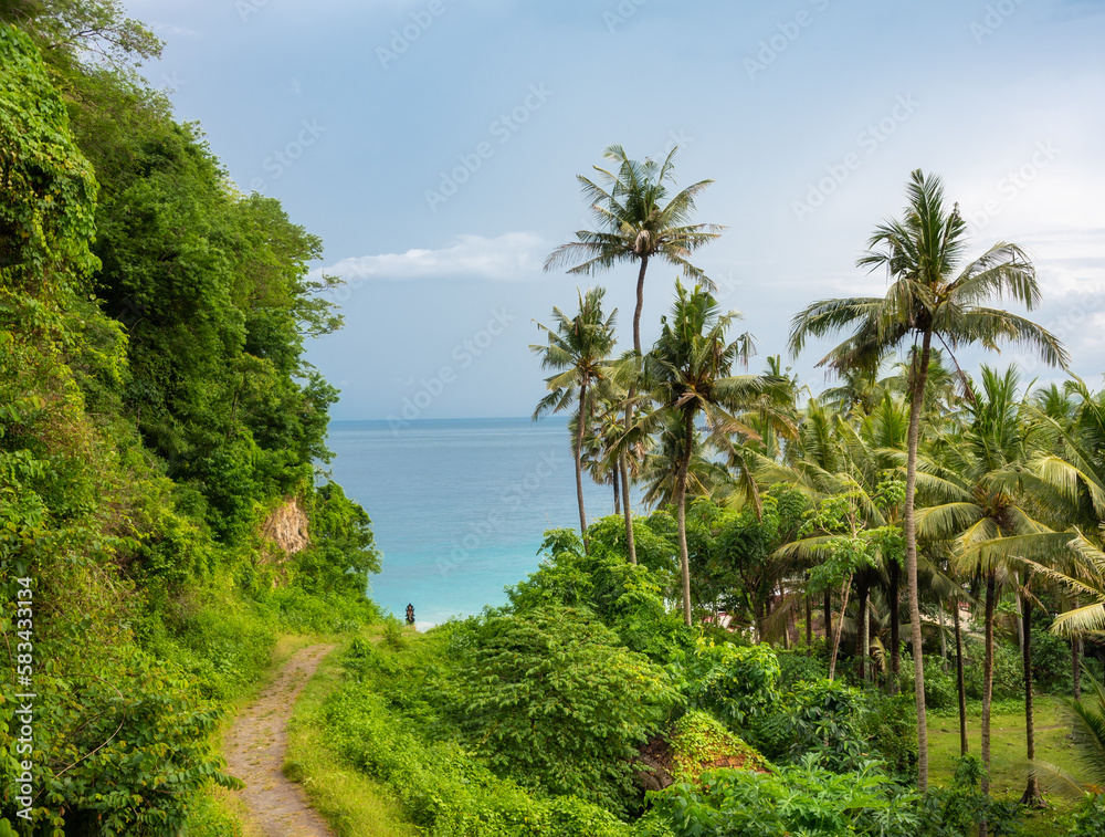 Path to the sea coast among palm trees and rainforest
