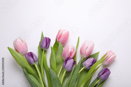 Beautiful tulips on light background  flat lay. Space for text