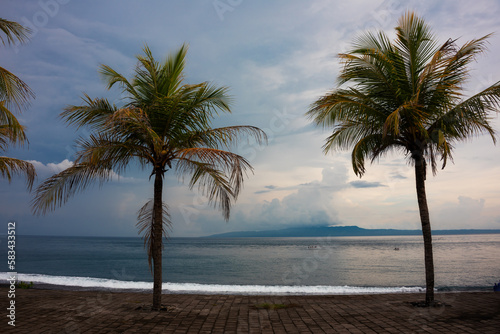 Palm trees on sea coast on sunset on Bali island  Indonesia