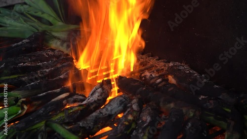 cocina de calçots típico de Catatonia en barbacoa