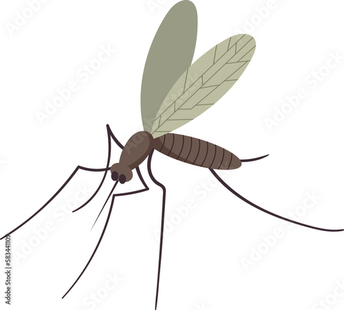 Small flying mosquito insect
