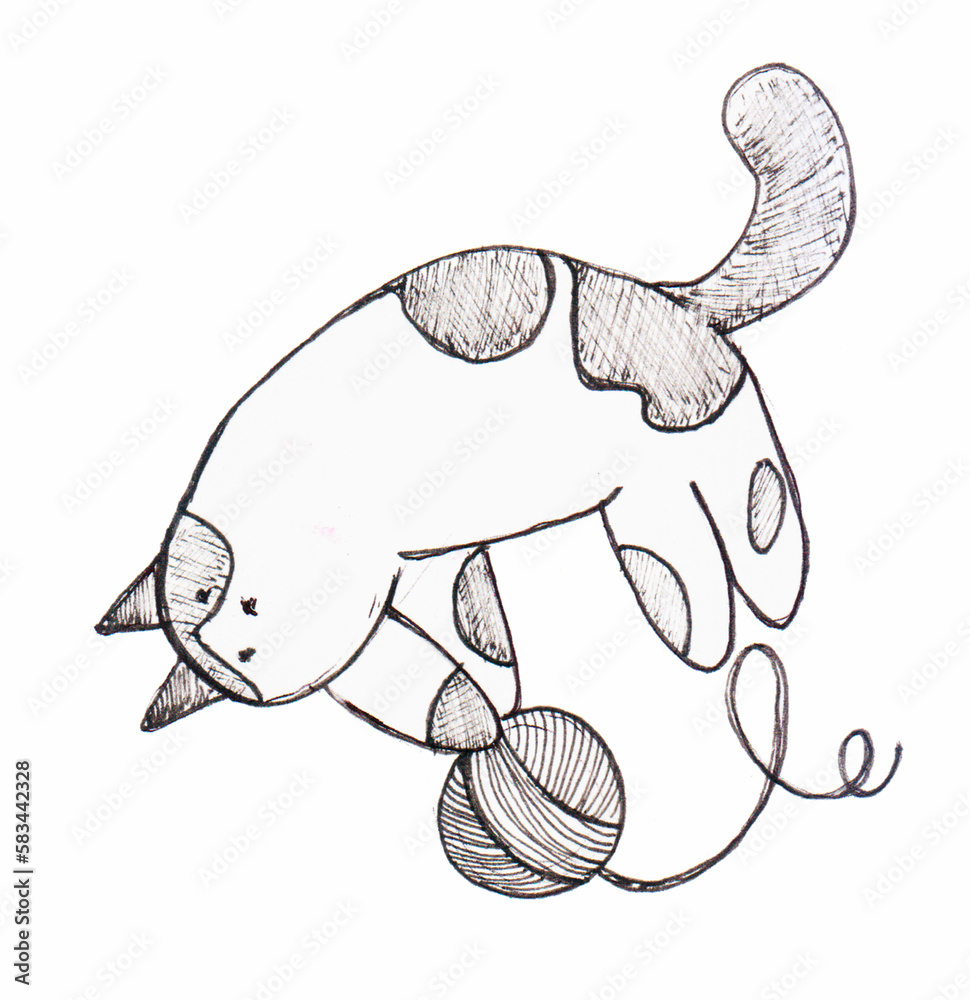 Hand drawn illustration of a cat with ball