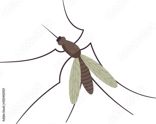 Small flying mosquito insect