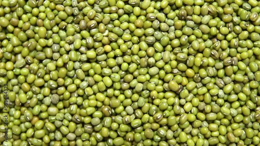 Top view of green mung beans. Turntable rotating shot. Top view of green mung beans. Turntable rotating shot.