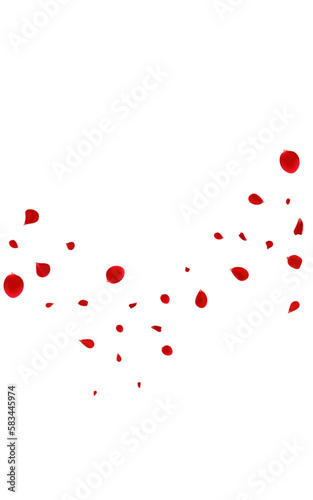 Red Petal Flying Vector White Background. Spring