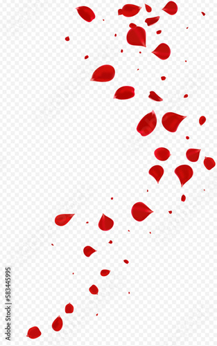 Pink Floral Fall Vector Transparent Background.