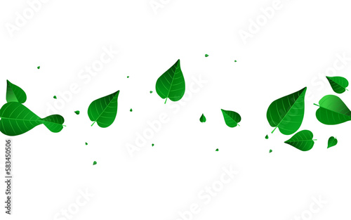 Green Leaf Fresh Vector White Background