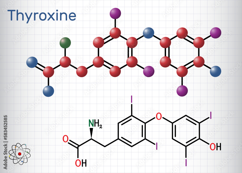Thyroxine, T4, levothyroxine molecule. It is thyroid hormone, prohormone of thyronine T3, used to treat hypothyroidism. Structural chemical formula, molecule model. Sheet of paper in a cage. Thyroxine, T4, levothyroxine molecule. It is thyroid hormone, prohormone of thyronine T3, used to treat hypothyroidism. Structural chemical formula, molecule model. Sheet of paper in a cage.