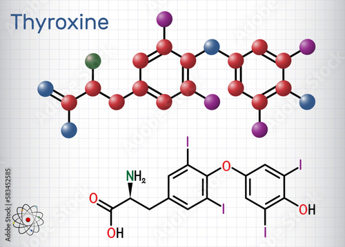 Thyroxine, T4, levothyroxine molecule. It is thyroid hormone, prohormone of thyronine T3, used to treat hypothyroidism. Structural chemical formula, molecule model. Sheet of paper in a cage.