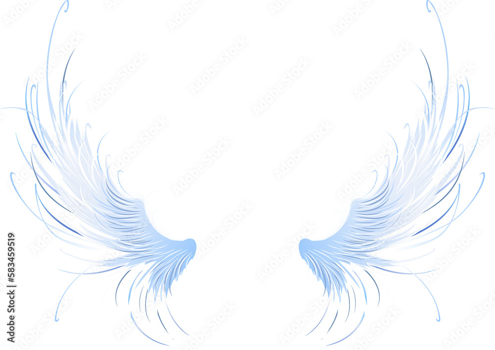 Obraz premium Angel Wings