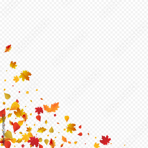 Wallpaper Mural Golden Plant Vector Transparent Background. Torontodigital.ca