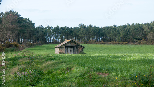 Cobertizo rural en pradera de hierba en Asturias