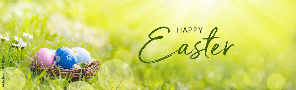 Happy Easter Banner - Nest with Easter eggs in grass on a sunny spring day - Easter decoration, banner, panorama, background Happy Easter Banner - Nest with Easter eggs in grass on a sunny spring day - Easter decoration, banner, panorama, background