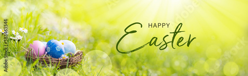 Happy Easter Banner  -  Nest with Easter eggs in grass on a sunny spring day - Easter decoration, banner, panorama, background