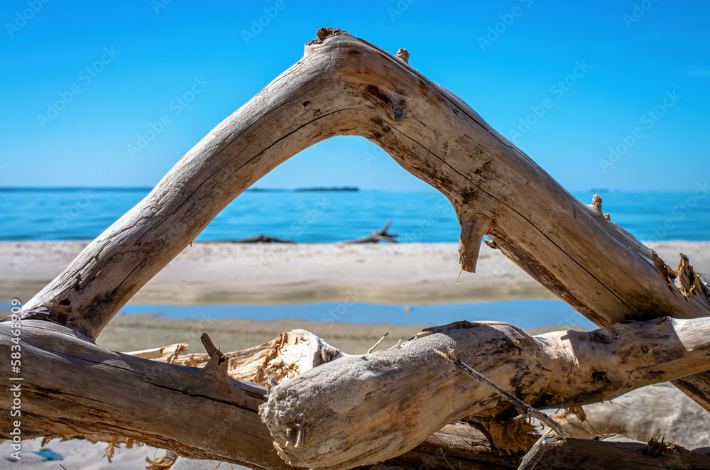 dry curved snag, on the sandy river bank, summer