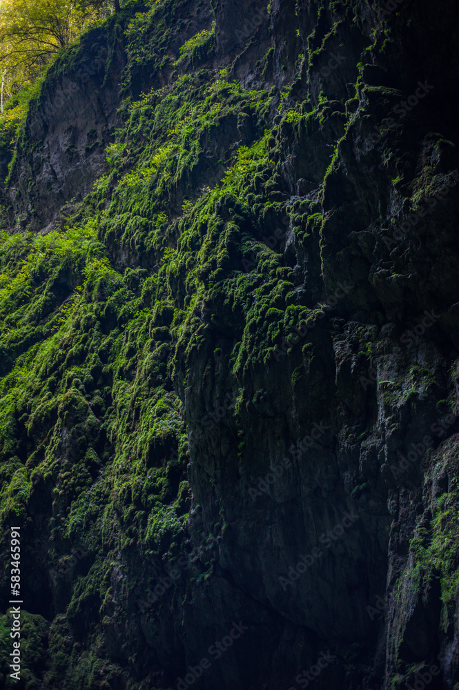 shady steep gorge with a lake and an entrance to a cave complex Macocha shady steep gorge with a lake and an entrance to a cave complex Macocha