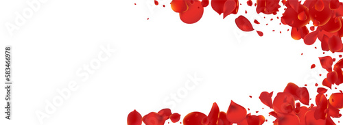 Fototapeta Naklejka Na Ścianę i Meble -  Red Rose Fly Vector Panoramic White Background.