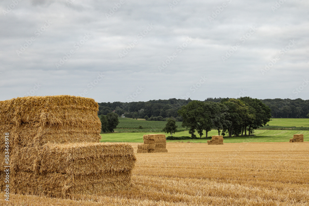 Fototapeta premium Strohballen in Landschaft