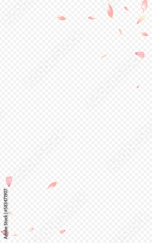 Red Confetti Vector Transparent Background. Rose