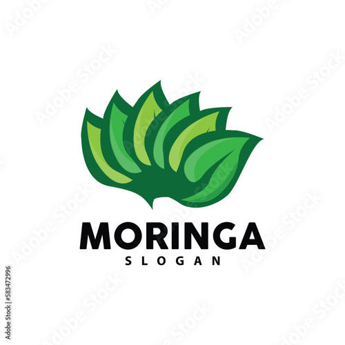 Leaf Logo, Eco Green Plant Vector, Green Earth Care Recycling Design, Moringa Leaf Logo Icon Template Illustration