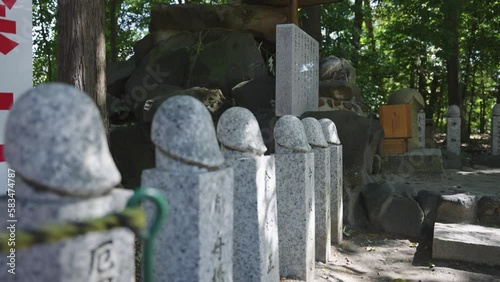 Phallus Posts and Fertility Idols at Tagata Shrine, Komaki, Aichi Japan photo