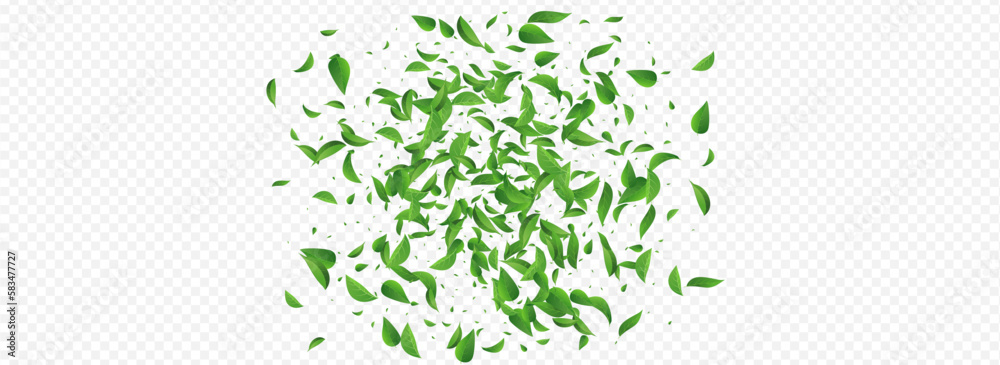 Mint Greens Spring Vector Panoramic Transparent Mint Greens Spring Vector Panoramic Transparent
