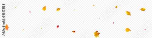 Brown Foliage Vector Panoramic Transparent