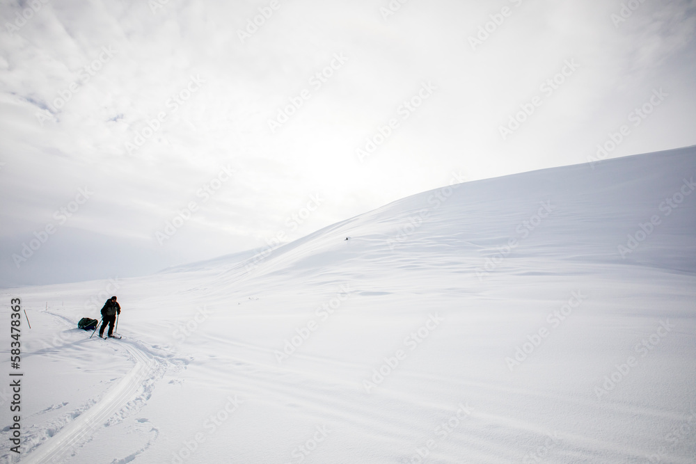 Ski expedition in Dovrefjell National Park, Norway