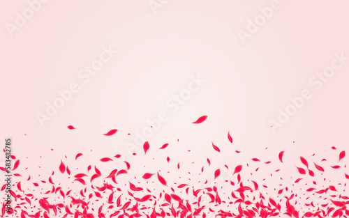 Red Peach Vector Pink Background. Falling Floral