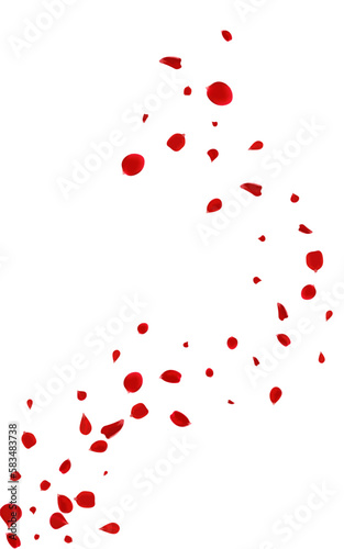 Red Petal Summer Vector White Background. Spring