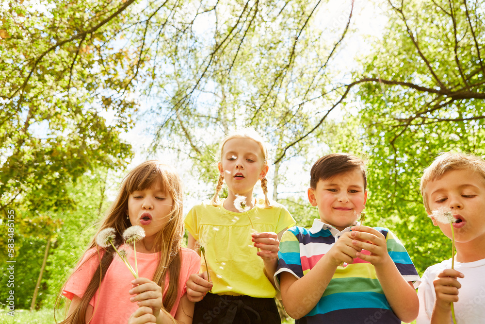 Kids blowing dandelions in park on sunny day