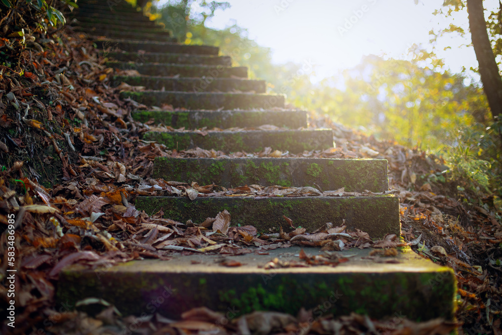 Old stairway in the autumn forest, covered with fallen leaves