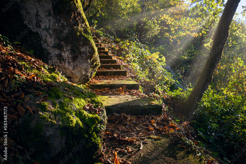 Abandoned staircase in the autumn forest leading through stones and trees