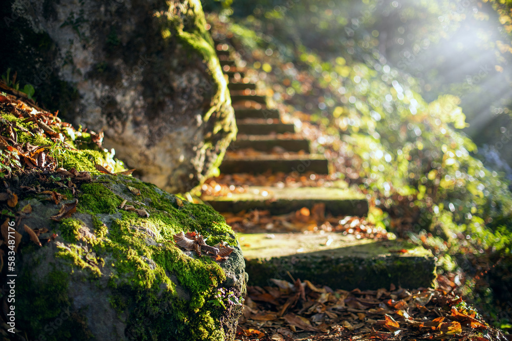 Abandoned staircase in the autumn forest leading through stones and trees