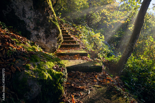 Obraz na płótnie Abandoned staircase in the autumn forest leading through stones and trees w salonie