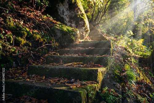 Abandoned staircase in the autumn forest leading through stones and trees