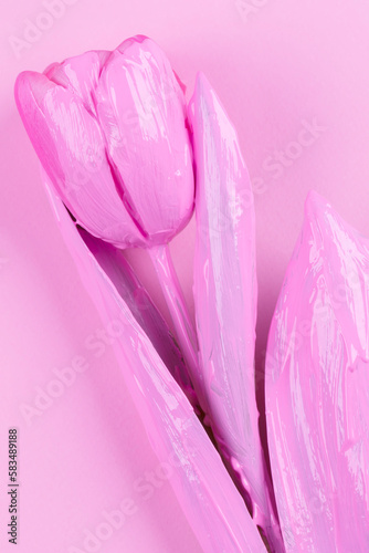 Pink tulip on a pink background. Flower minimalist. © Светлана Лазаренко