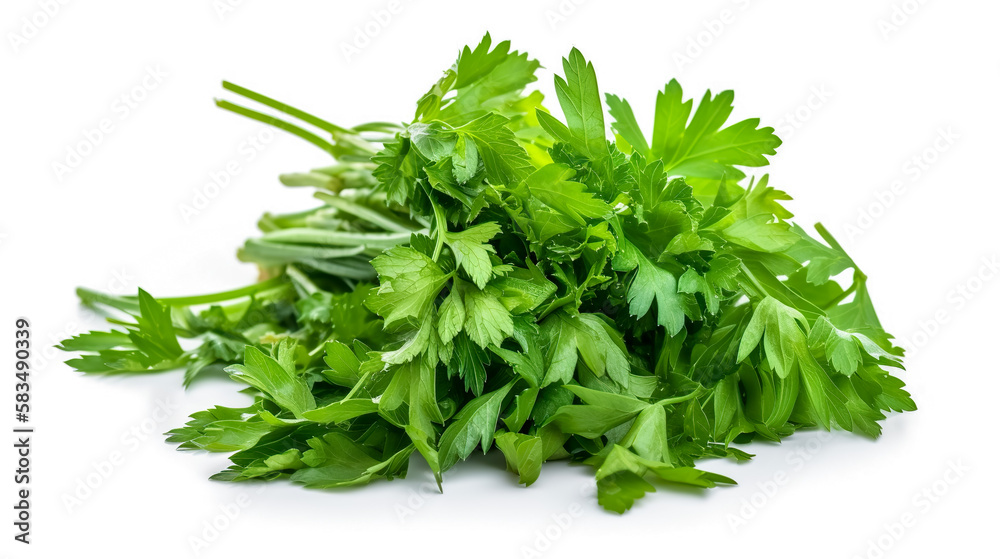 corianders. Fresh vegetables isolated on white background. Healthy food concept. Generative AI