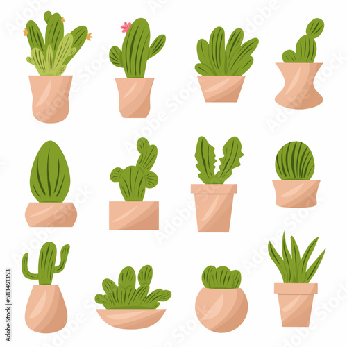 Cactus set, green houseplant, ornament plant on white background. Cartoon style, vector set illustration. 