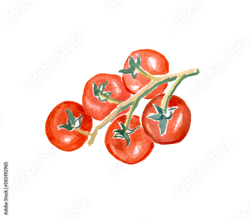 Tomato , cherry tomatoes, red vegetables , tomato branch ,vegetarian food, watercolor illustration