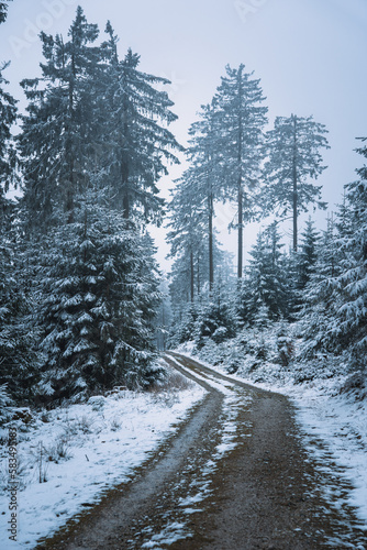 Großer Feldberg: Weg in einem zugeschneiten Wald