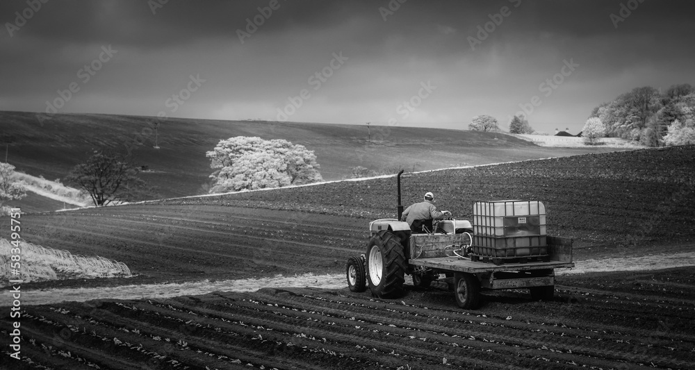 Obraz premium Preparing for a new harvest