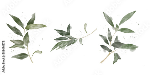 Watercolour set of olive branches. Paper texture. Botanical art for wedding decor, business cards and logos