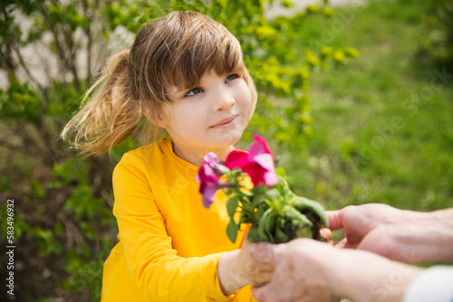 the hands of a child and an elderly person hold flowers against the background of green grass. copy space. grandmother and child granddaughter plant flowers near the house. Child girl help grandmother
