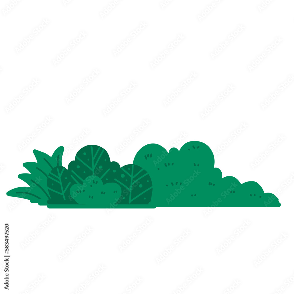 Obraz premium Grass Illustration