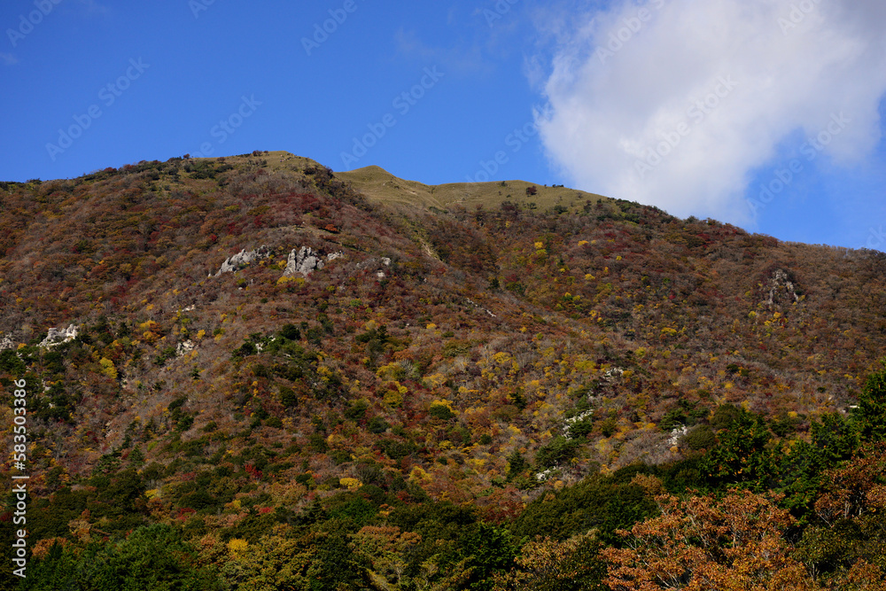 山は秋色