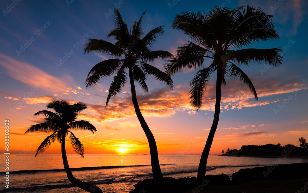 Beautiful Sunset on a Hawaiin beach with palm trees - obrazy, fototapety, plakaty 