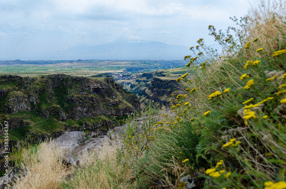 Scenic view of the mountains and valleys. Yellow flowers in the foreground is blurry.